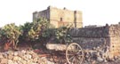Masseria La Torre, Copertino