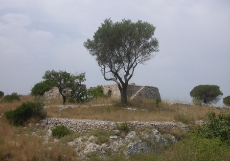Usentum