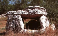 Domen salento