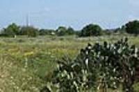 Veduta della macchia Mediterranea