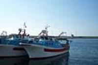 Veduta del Porto di Gallipoli