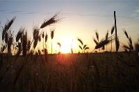 Tramonto