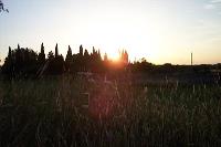 Tramonto e macchia Mediterranea